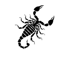 Scorpio