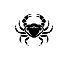 Aries